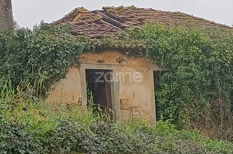 Moradia T4 para Venda em Nogueira do Cravo e Pindelo Foto 2