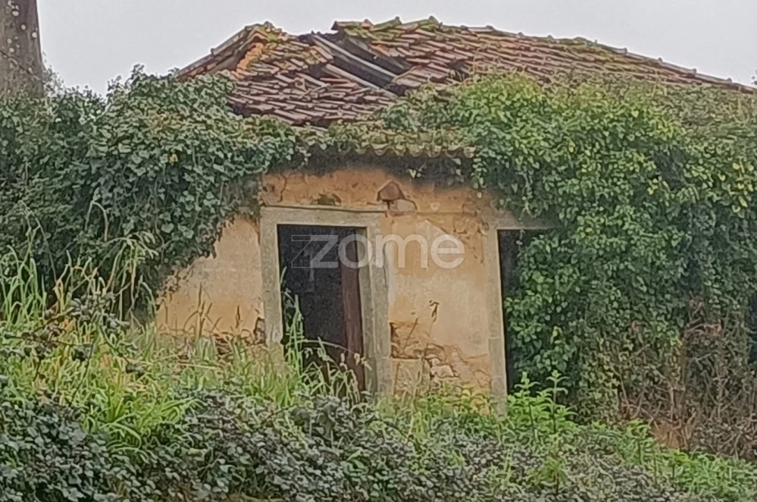 Moradia T4 para Venda em Nogueira do Cravo e Pindelo Foto 2