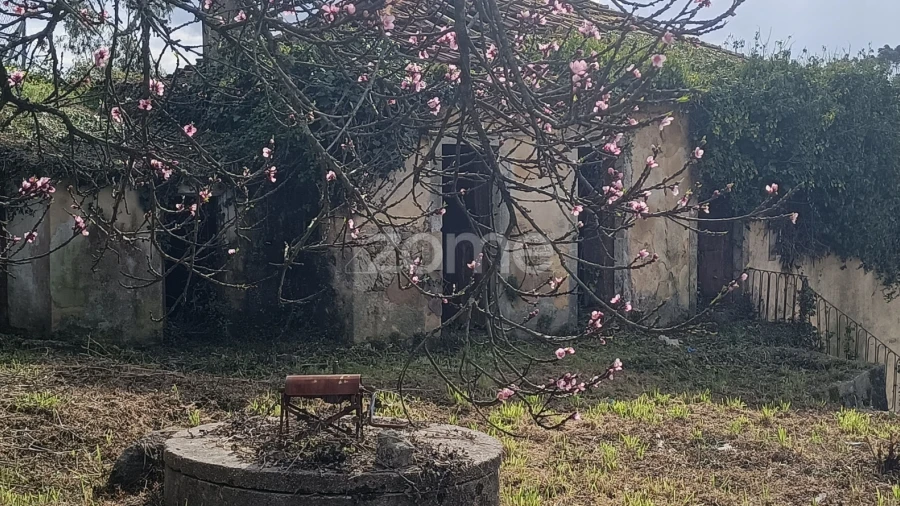 Moradia T4 para Venda em Nogueira do Cravo e Pindelo