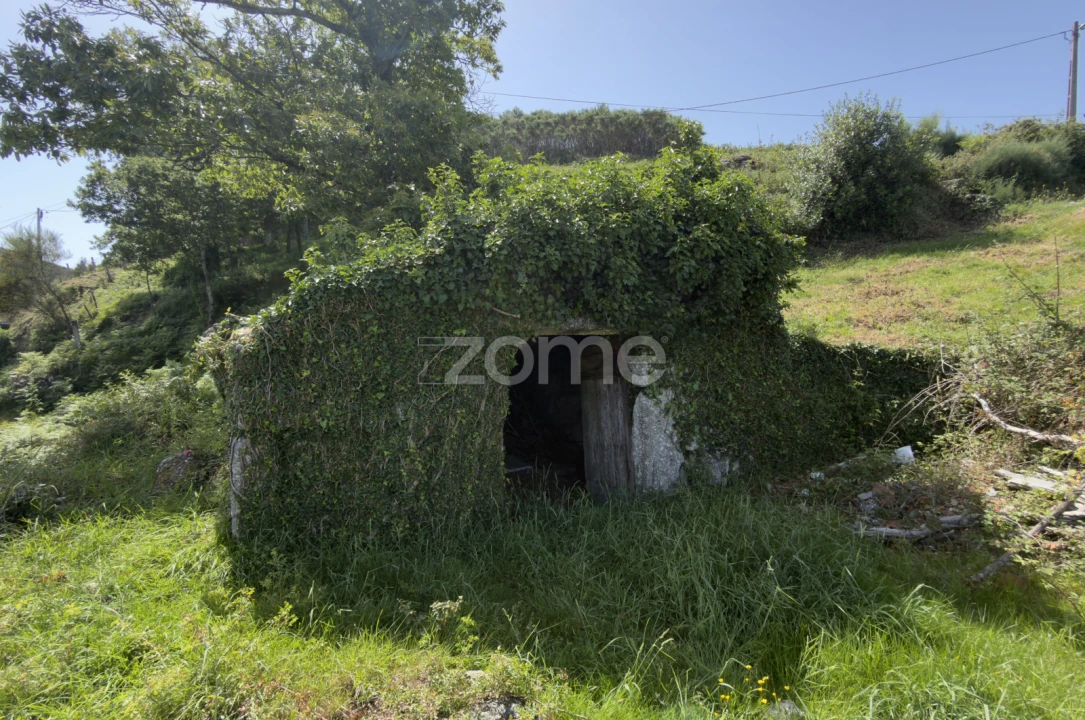 Moradia T3 para Venda em Valdreu Foto 21