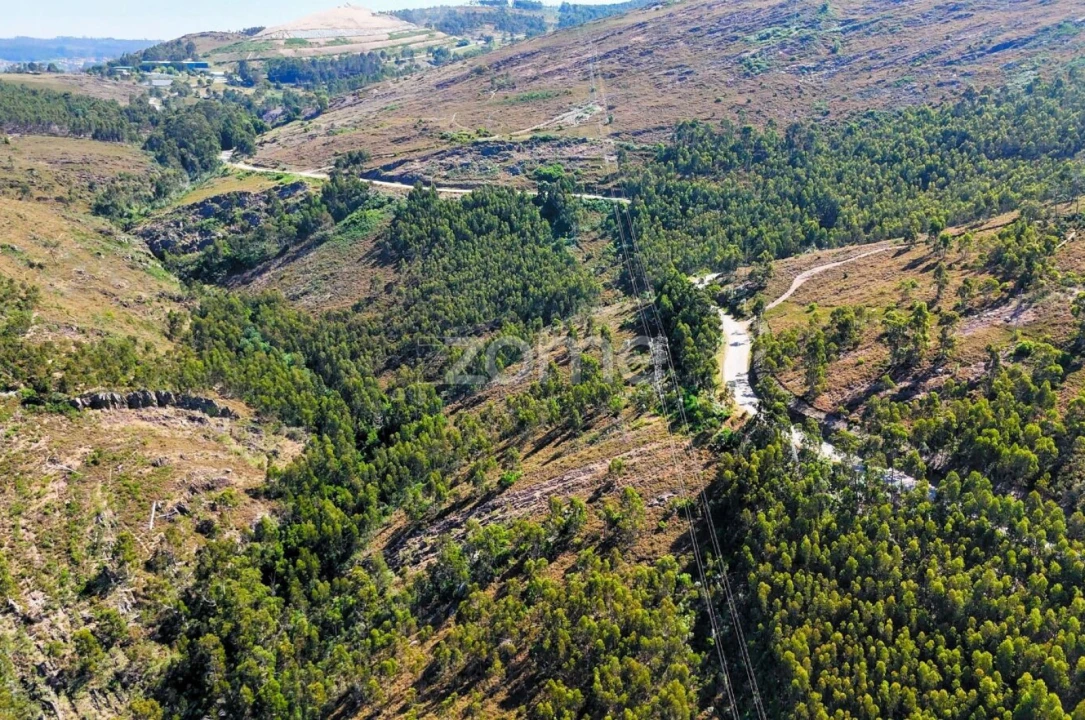 Terreno para Venda em Eja Foto 13