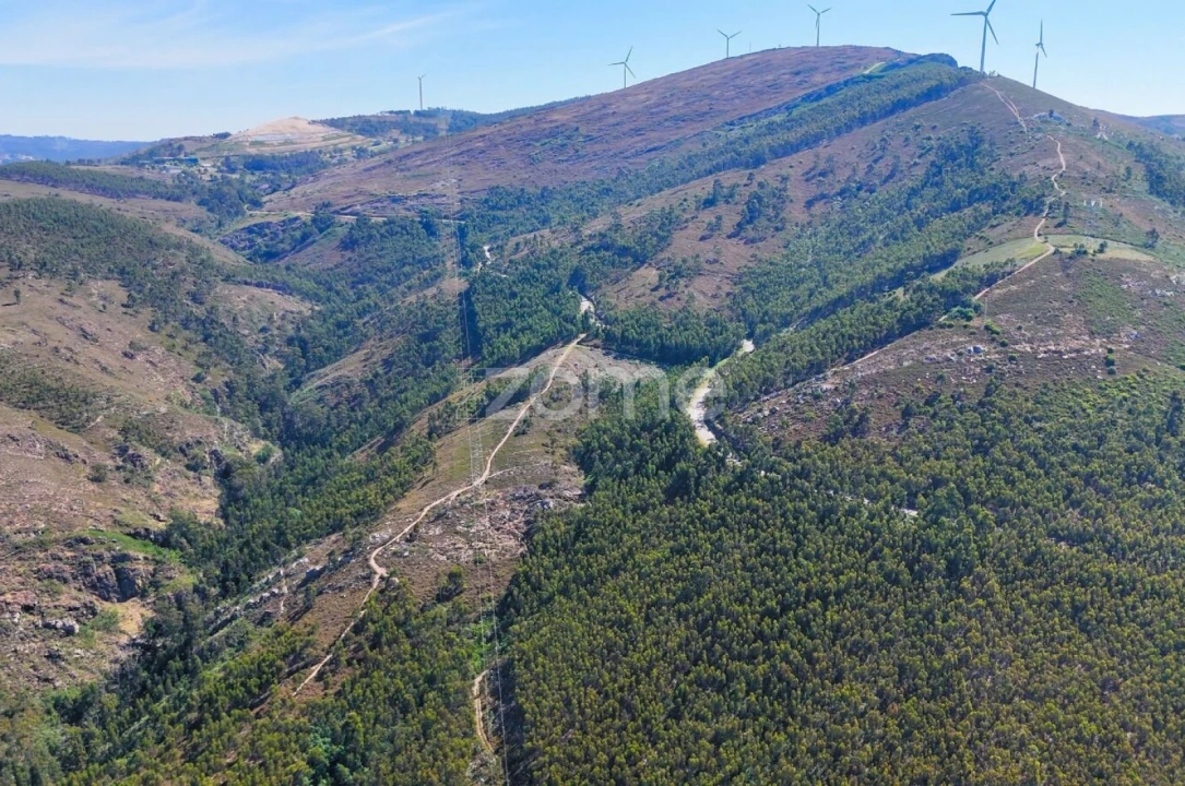 Terreno para Venda em Eja Foto 9