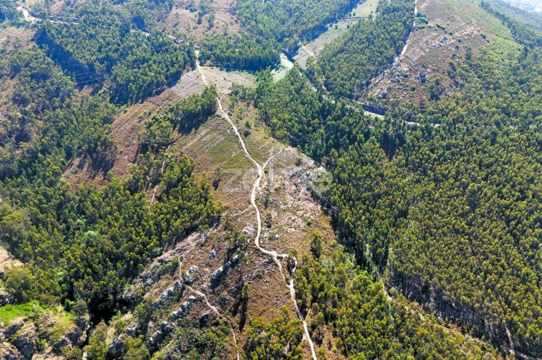 Terreno para Venda em Eja Foto 10