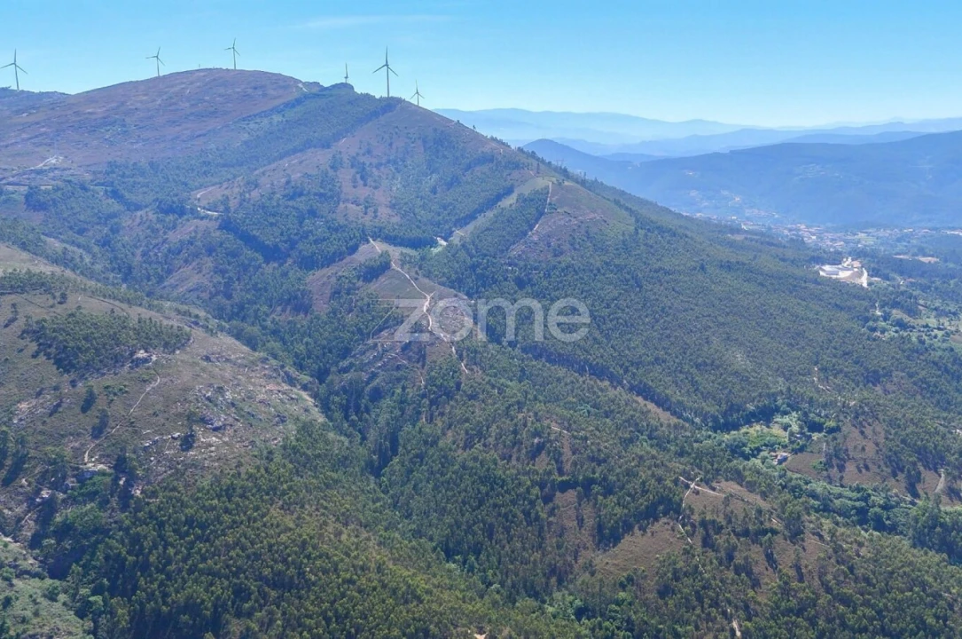 Terreno para Venda em Eja Foto 12