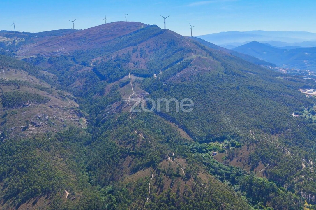 Terreno para Venda em Eja Foto 3