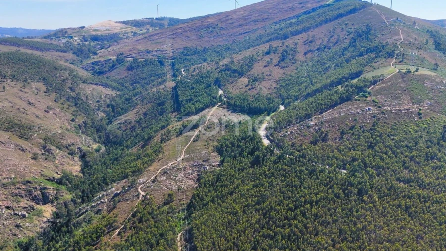 Terreno para Venda em Eja