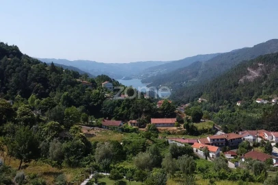 Terreno para Venda em Vilar da Veiga