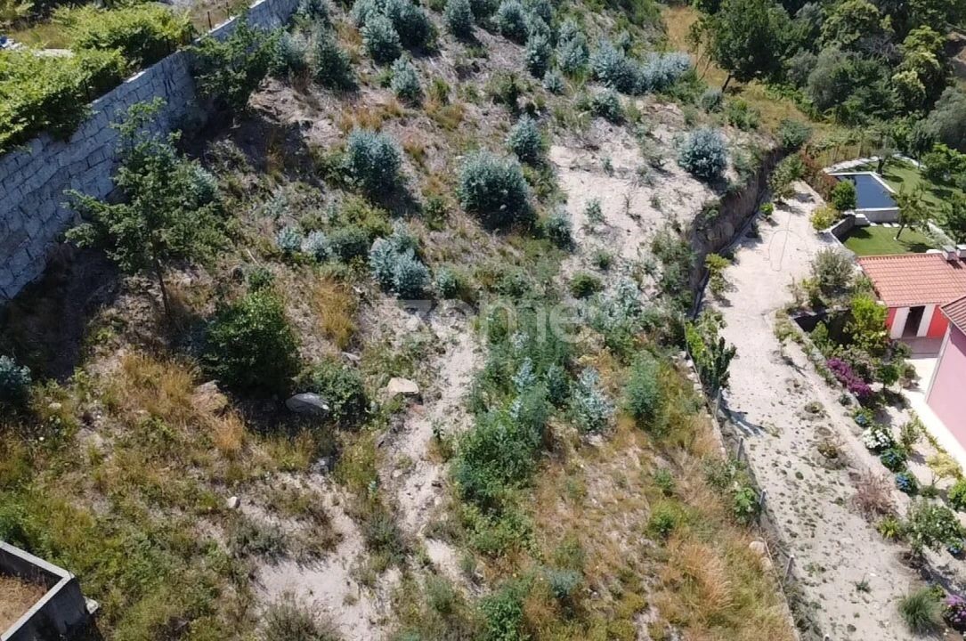Terreno para Venda em Vilar da Veiga Foto 5