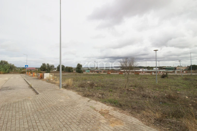 Terreno para Venda em Viana do Alentejo Foto 6