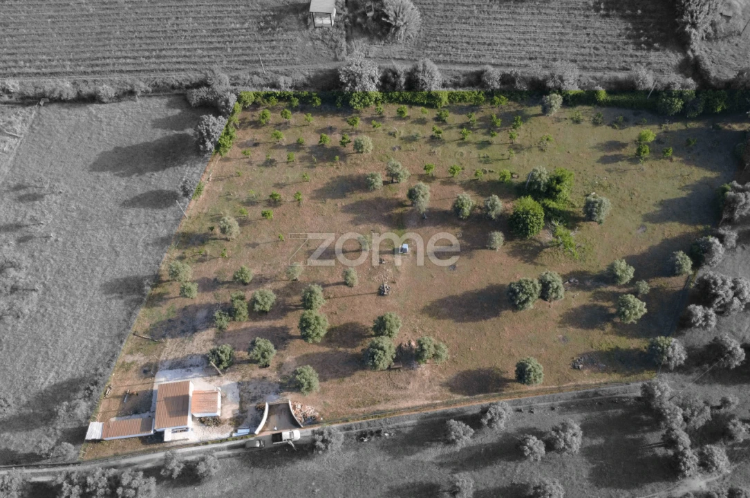 Terreno para Venda em Viana do Alentejo Foto 24