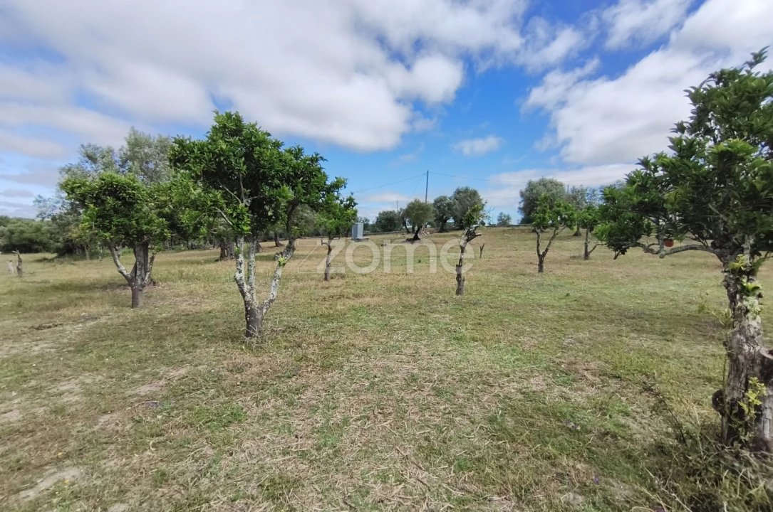Terreno para Venda em Viana do Alentejo Foto 15