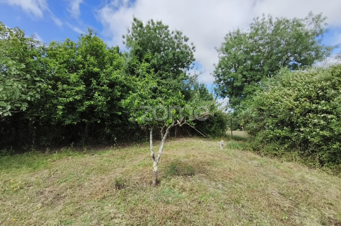 Terreno para Venda em Viana do Alentejo Foto 17