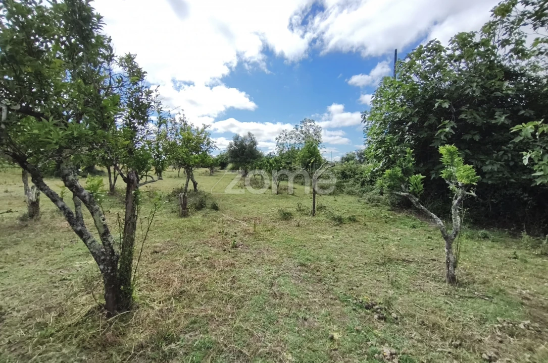 Terreno para Venda em Viana do Alentejo Foto 18