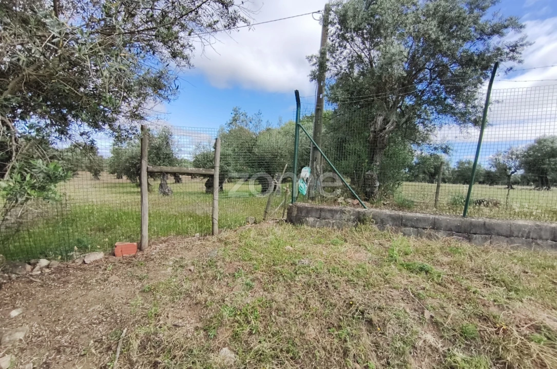 Terreno para Venda em Viana do Alentejo Foto 20
