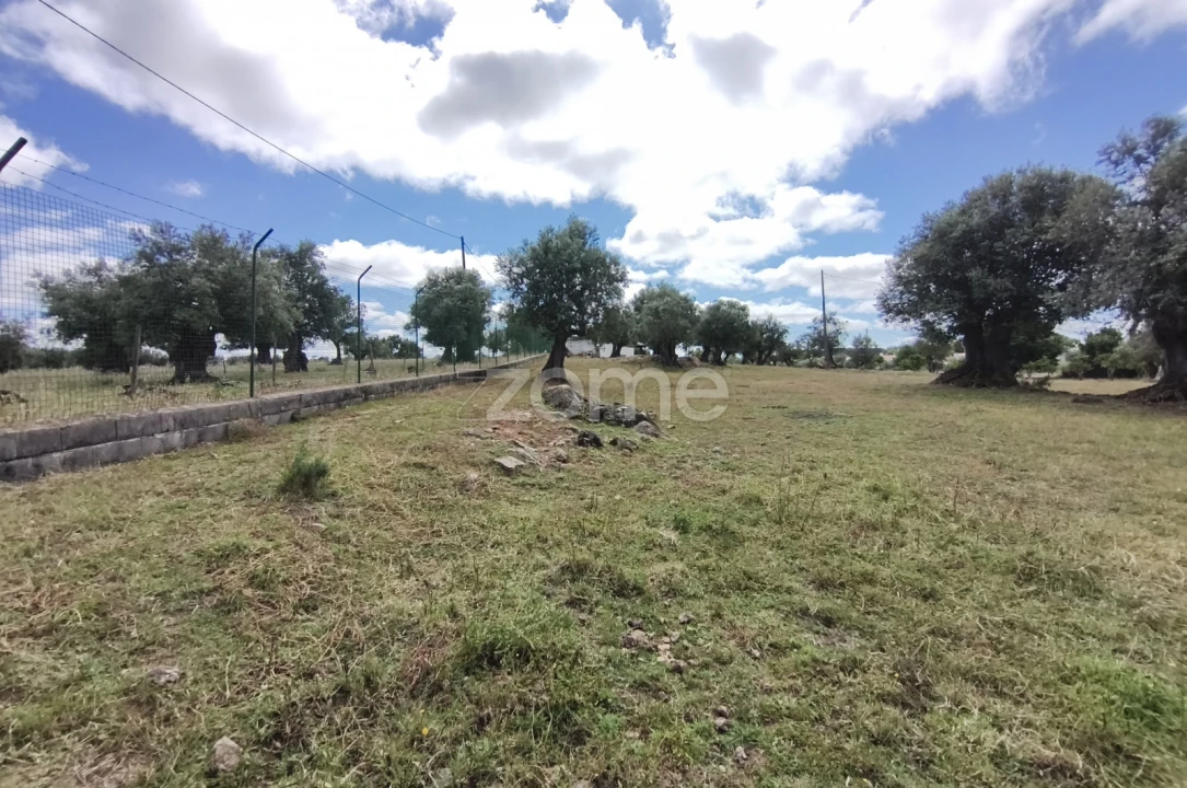 Terreno para Venda em Viana do Alentejo Foto 21