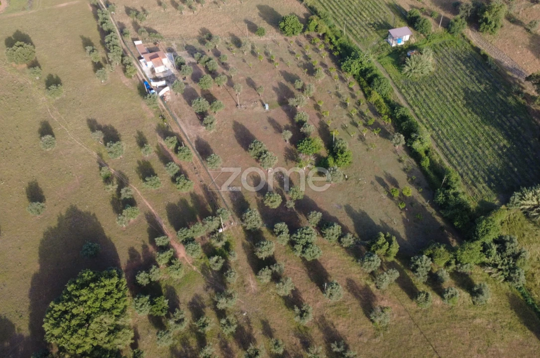 Terreno para Venda em Viana do Alentejo Foto 4
