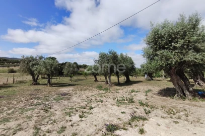 Terreno para Venda em Viana do Alentejo