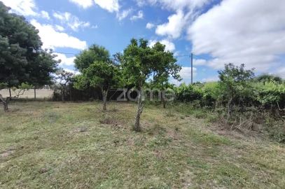 Terreno para Venda em Viana do Alentejo