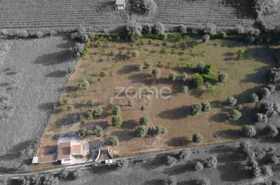 Terreno para Venda em Viana do Alentejo