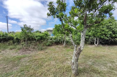 Terreno para Venda em Viana do Alentejo