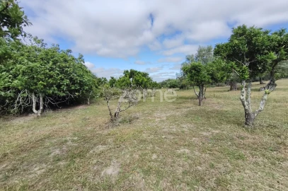Terreno para Venda em Viana do Alentejo
