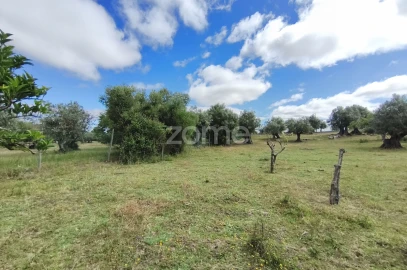 Terreno para Venda em Viana do Alentejo