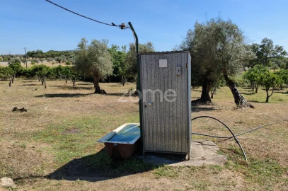 Terreno para Venda em Viana do Alentejo