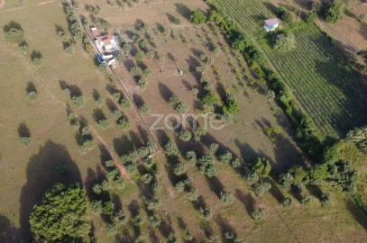 Terreno para Venda em Viana do Alentejo