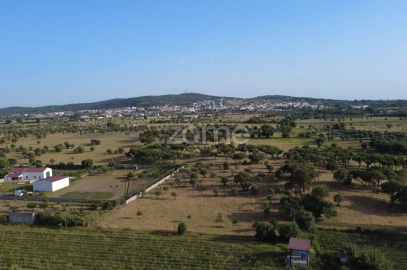 Terreno para Venda em Viana do Alentejo