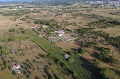 Terreno para Venda em Viana do Alentejo