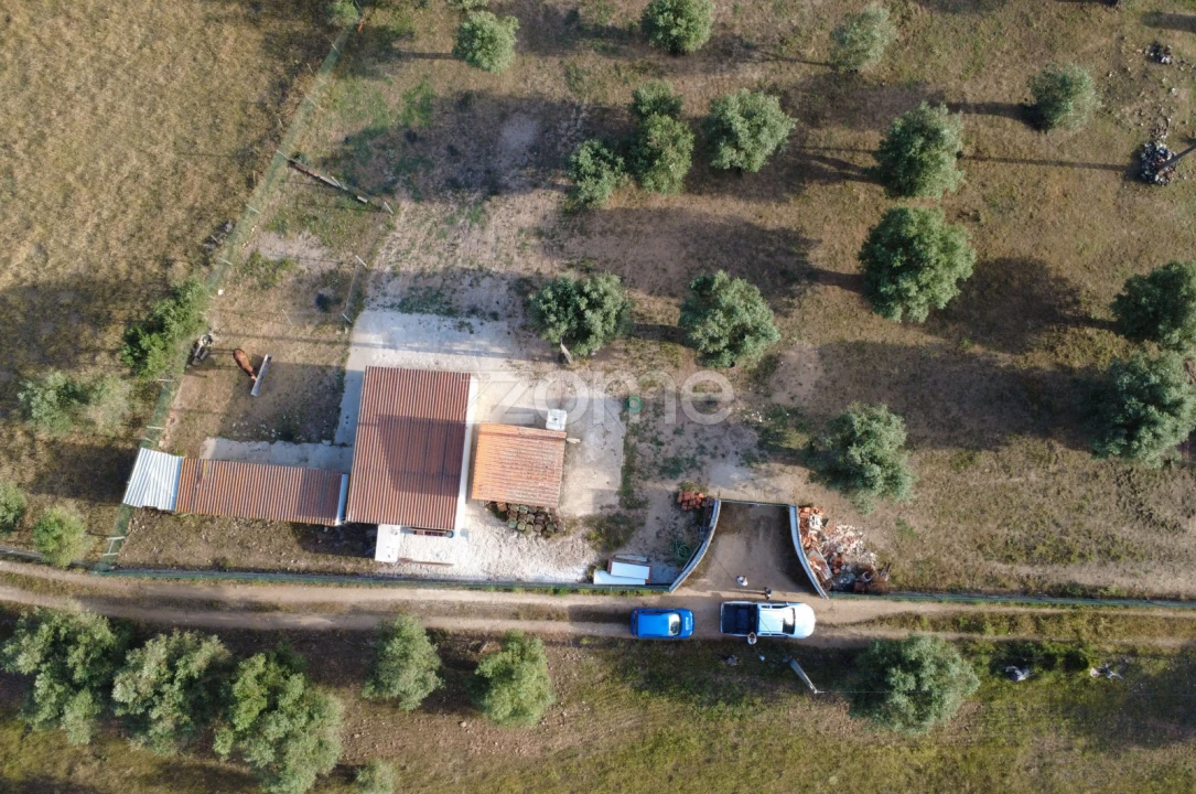 Terreno para Venda em Viana do Alentejo Foto 5