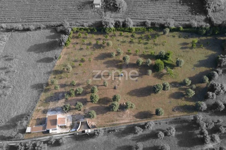 Terreno para Venda em Viana do Alentejo Foto 24