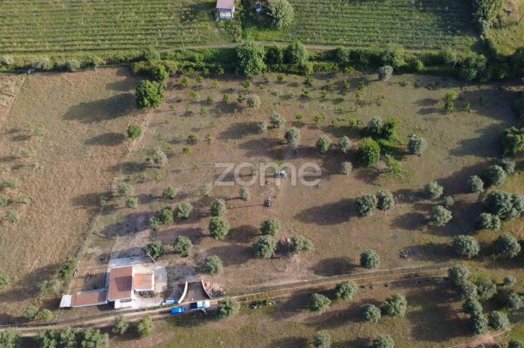 Terreno para Venda em Viana do Alentejo Foto 2