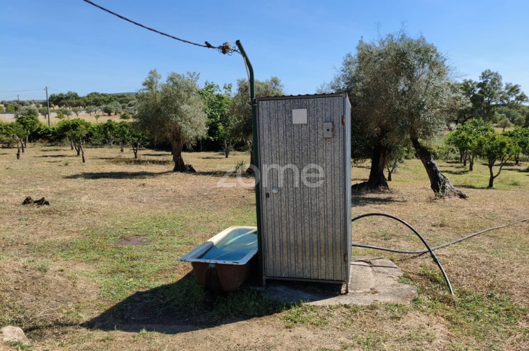 Terreno para Venda em Viana do Alentejo Foto 25