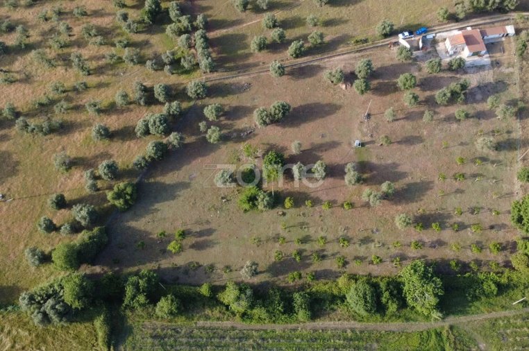 Terreno para Venda em Viana do Alentejo Foto 3