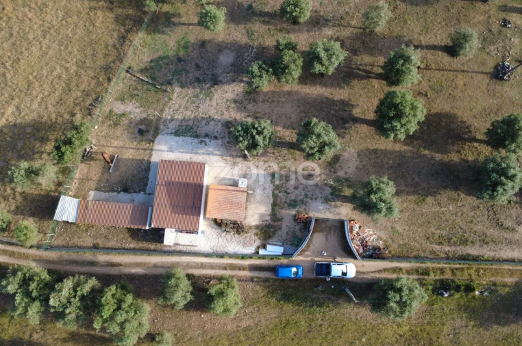 Terreno para Venda em Viana do Alentejo Foto 5