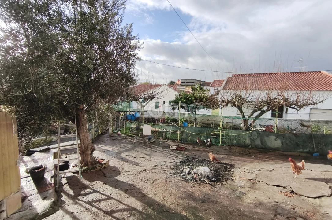 Moradia T2 para Venda em Alfundão e Peroguarda Foto 29