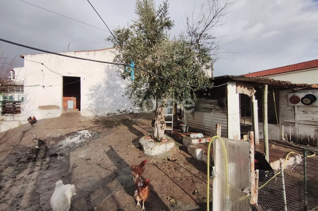 Moradia T2 para Venda em Alfundão e Peroguarda Foto 30