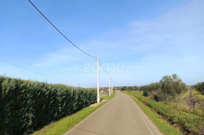Terreno para Venda em Nossa Senhora da Expectação