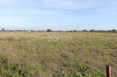 Terreno para Venda em Nossa Senhora da Expectação
