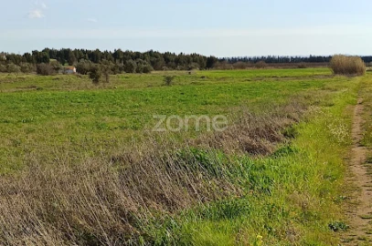 Terreno para Venda em Nossa Senhora da Expectação