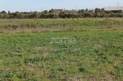 Terreno para Venda em Nossa Senhora da Expectação