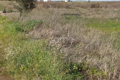 Terreno para Venda em Nossa Senhora da Expectação