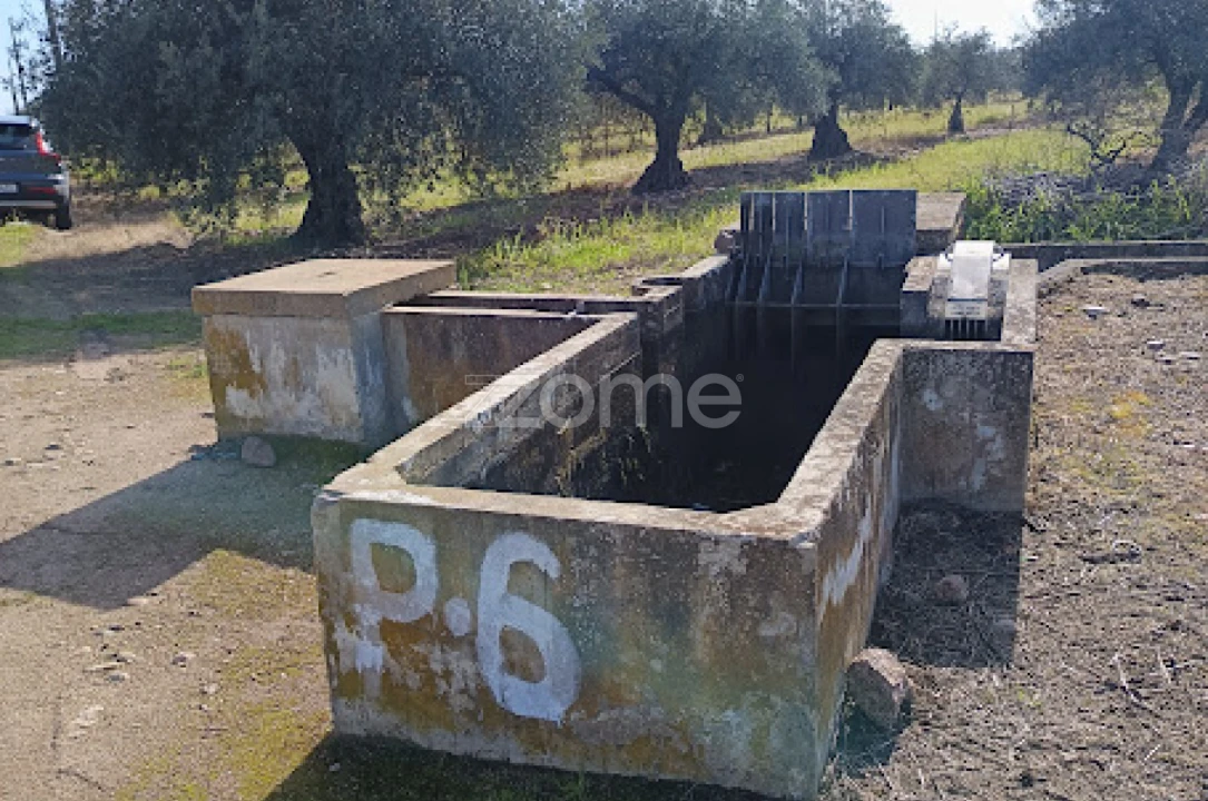 Terreno para Venda em Nossa Senhora da Expectação Foto 6