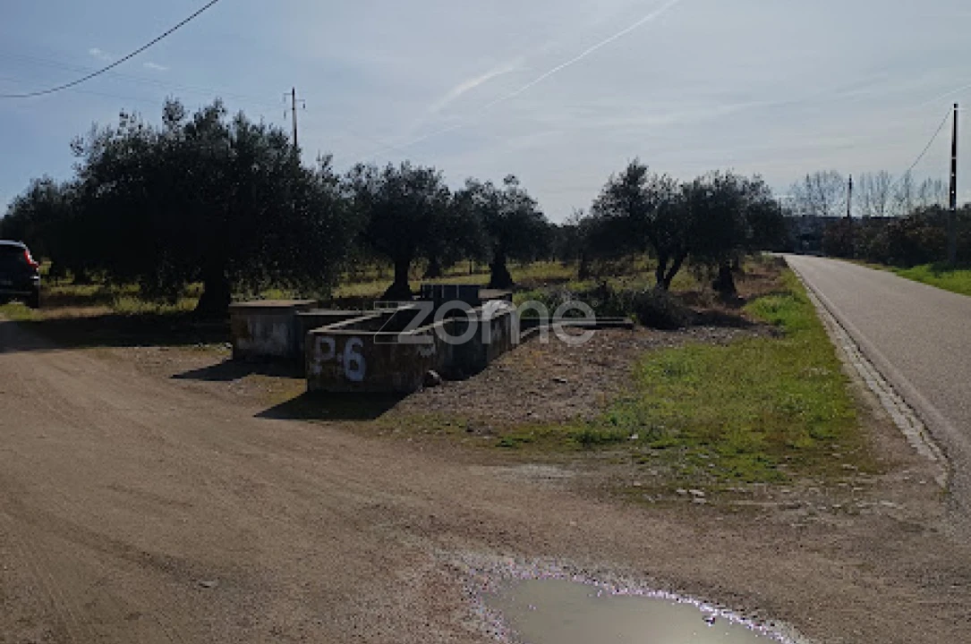 Terreno para Venda em Nossa Senhora da Expectação Foto 8