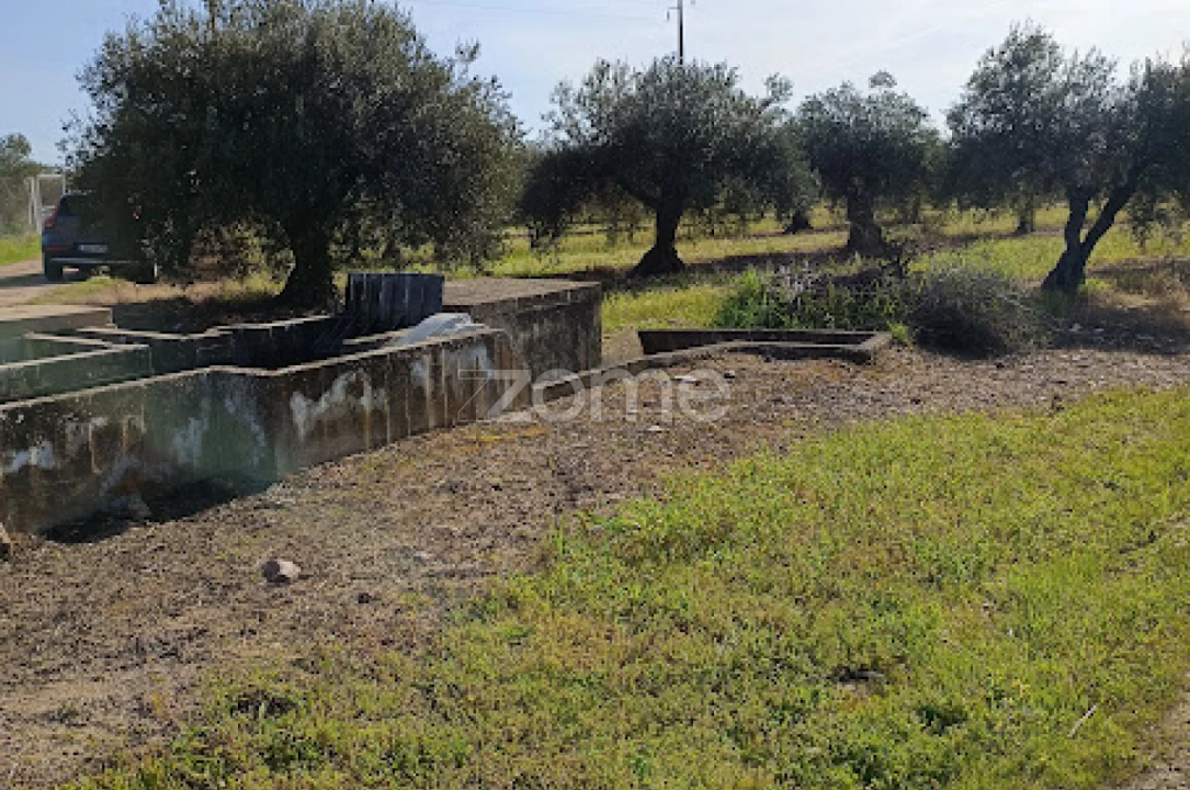 Terreno para Venda em Nossa Senhora da Expectação Foto 10
