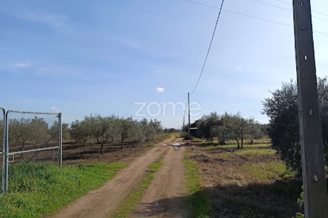 Terreno para Venda em Nossa Senhora da Expectação Foto 12