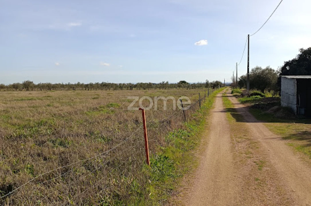 Terreno para Venda em Nossa Senhora da Expectação Foto 13