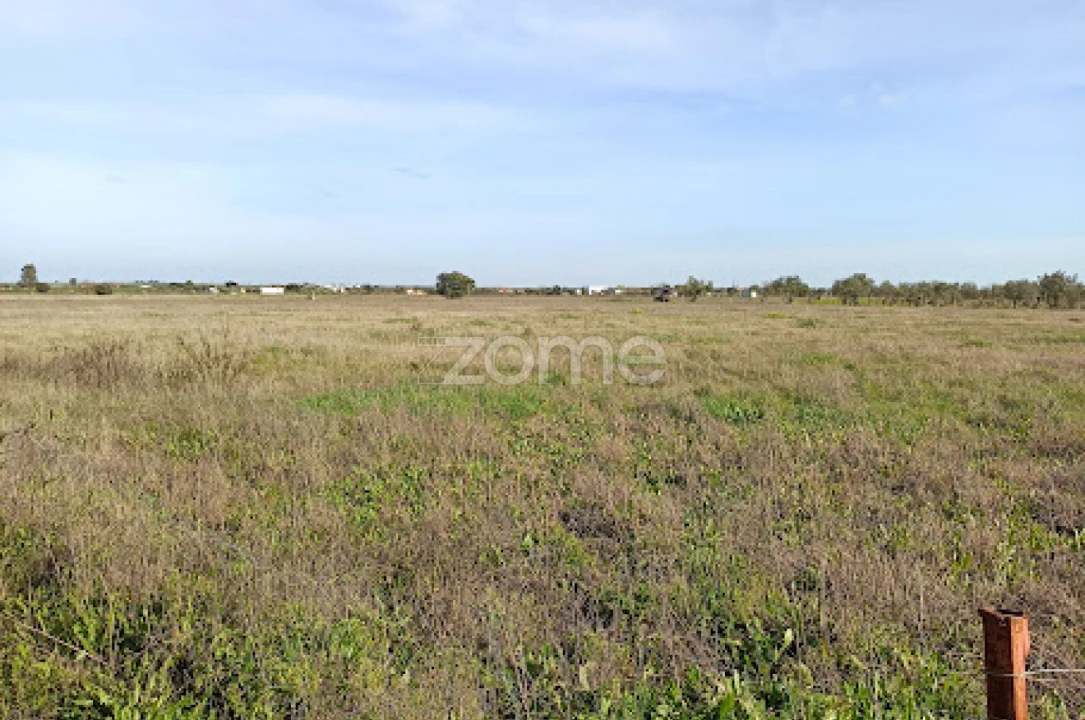 Terreno para Venda em Nossa Senhora da Expectação Foto 14