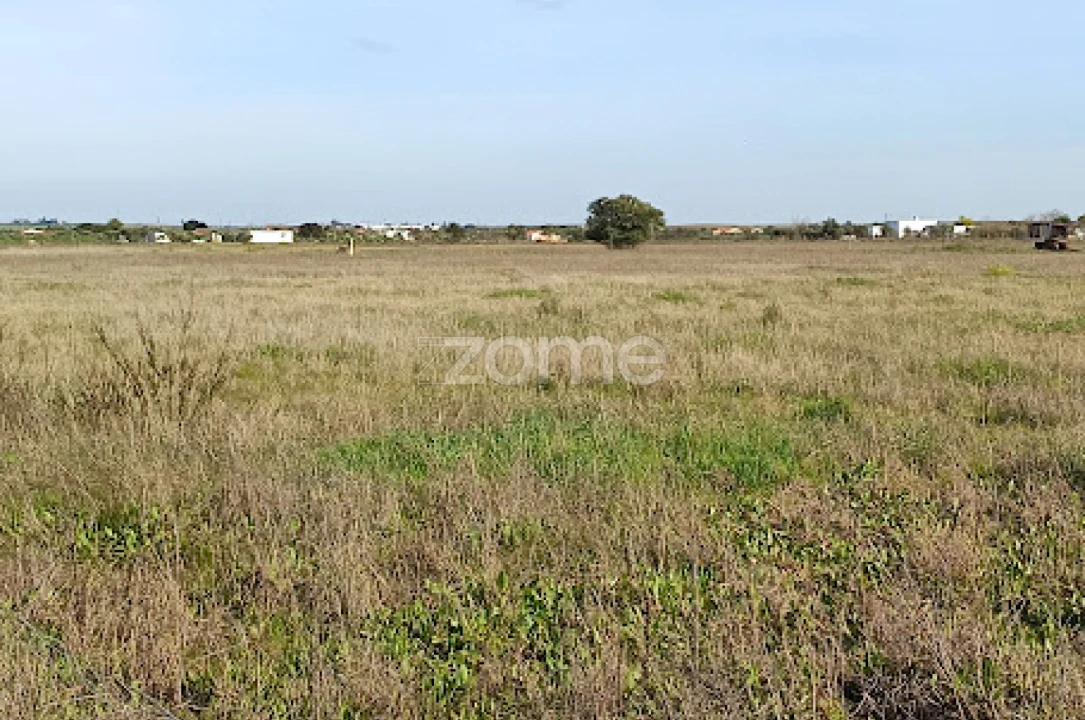 Terreno para Venda em Nossa Senhora da Expectação Foto 4